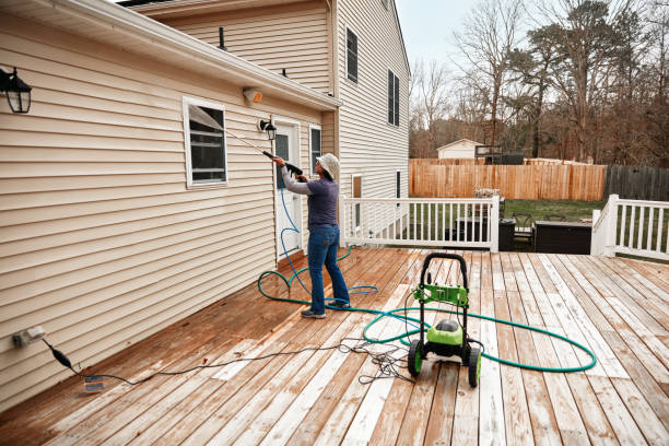 Best Roof Power Washing Services  in Tavares, FL