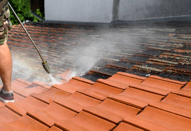 Best Roof Pressure Washing  in Tavares, FL