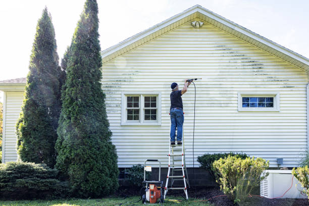Best Roof Pressure Washing  in Tavares, FL