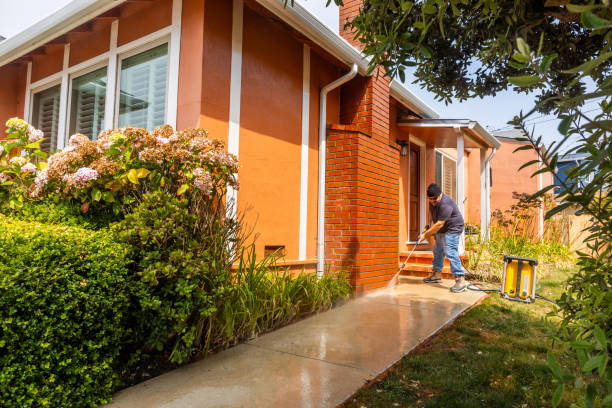 Best Pressure Washing Services Near Me  in Tavares, FL