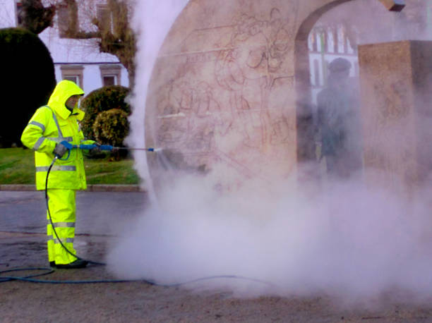 Best Garage Pressure Washing  in Tavares, FL